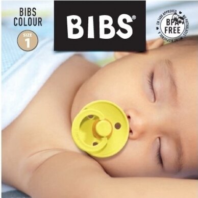Baby's dummies BIBS COLOUR Honey Bee/Olive 1 size 2