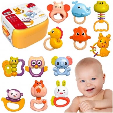 Set of rattles Teethers 12 pcs in a box