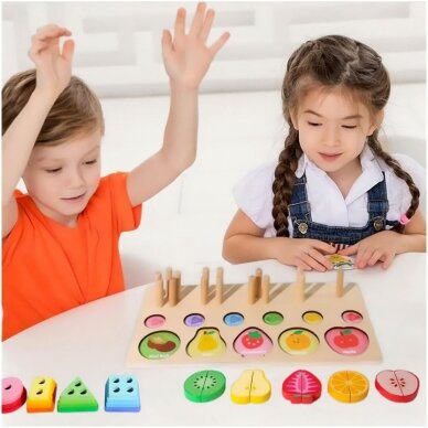 Montessori wooden puzzle Buildings, Fruits and Animals 4