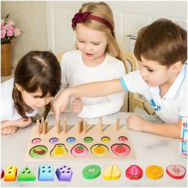 Montessori wooden puzzle Buildings, Fruits and Animals 7