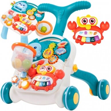 Push-walker Toyz  2in1 Turquoise